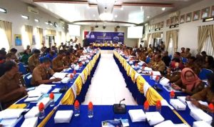 RPD Barut Pedoman Penyelenggaraan Pemerintahan dan Pembangunan