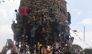 Pesta Nanas Menjadi Local Genius Mekarsari