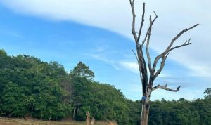 Pegunugan Meratus Kalsel Siap Dinilai UGG