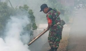 Kalsel Tingkatkan Kewaspadaan Terhadap DBD