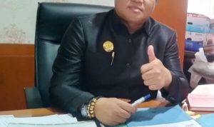 Bebie Raih Suara Tertinggi di Davil II, Tiga Kecamatan