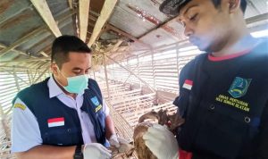 Kalsel Antisifasi Penyebaran Flu Burung