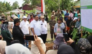 Lahan Rawa Pacu Produksi Padi di Pulang Pisau
