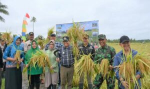 Pemkab Kapuas Apresiasi Pertanian Desa Warna Sari