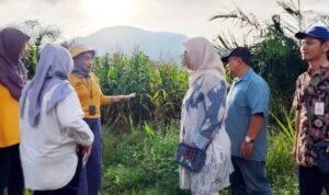 Pemprov Kalsel Evaluasi Program Kesatria