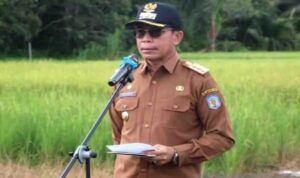 Hermon Komitmen Jadikan Puruk Cahu Pertanian Padi Gogo