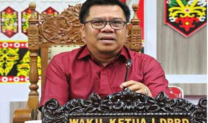 Waket I DPRD Pulpis Jelaskan Tiga Fungsi Legislatif