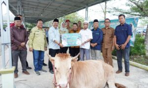 Sekda Kalteng Serahkan Sapi Limousin dan Gratiskan 1.000 Paket Pasar Murah di Kelurahan Beriwit, Murung Raya