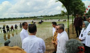 Gubernur Kalteng Dampingi Presiden RI Kunjungi Lahan Pertanian di Desa Bapeang Kecamatan Mentawa Baru Ketapang, Kotim
