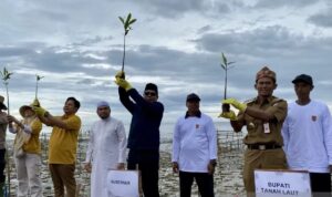 Kalsel Siapkan 270.000 Bibit Mangrove Program Rehabilitas Pesisir