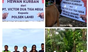 PT VDTM Bagikan 9 Ekor Hewan Qurban kepada 4 Desa Binaan