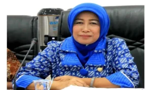 Pilkada Gubernur dan Bupati di Barut Sesuai Regulasi