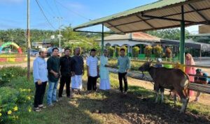 Sambut Idul Adha 1445 Hijriah, PT MPG Bagikan 15 Ekor Hewan Kurban di Desa Sekitar