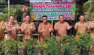 Panen Cabai, Pj Bupati Murung Raya Ingin Bapplitbangda Bisa Dicontoh Instansi Lain