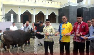 Jelang Iduladha 1445 H, Pemkab Murung Raya Salurkan Puluhan Sapi Kurban