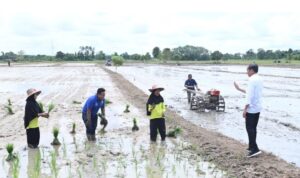 Respons Potensi Kekeringan Panjang, Presiden RI Tinjau Pompanisasi di Kotawaringin Timur
