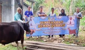 Setwan DPRD Barut Terima Tiga Sapi Kurban dari Hj Mery Rukaini