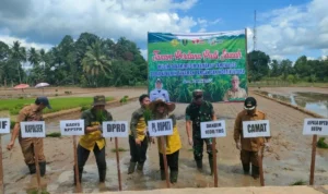 Tingkatkan Produksi Beras, Desa Jaro Tanam Perdana Padi IP 200