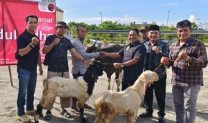 Anggota DPRD Heriyus Salurkan Tiga Ekor Hewan Kurban Kepanitia