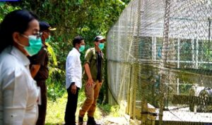 Pj Bupati Kunjungi Konservasi dan Tempat Rehabilitasi Satwa Liar Endemik Kalimantan