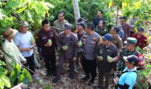 Gubernur Kalteng di Dampingi Pj Bupati Kunjungi Petani Kakao di Murung Raya