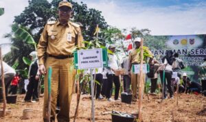 Gubernur Kasel Turut Lakukan Penanaman Serentak Agroforestry Tanaman Pangan di Kabupaten Tapin