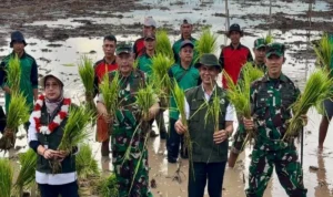 Kalteng Dapat Program Cetak Sawah 102.000 Hektare