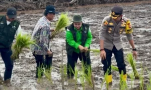 Program Cetak Sawah di Kapuas Relevan Kebutuhan Daerah