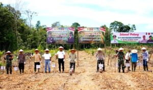 Pj Bupati Muhlis Ajak Masyarakat Sukseskan Program Ketahanan Pangan Lewat Tanam Jagung di PT MPG
