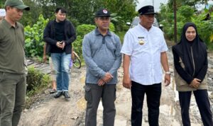 Bupati Batola Kunjungi Akses Jalan Yang Rusak di Desa Belandean