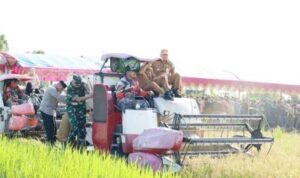 Presiden Prabowo Pimpin Panen Raya Serentak di 14 Provinsi