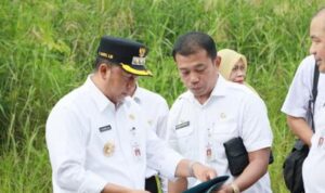 Bupati Batola Tinjau Lokasi Pembangunan Puskesmas di Anjir Muara