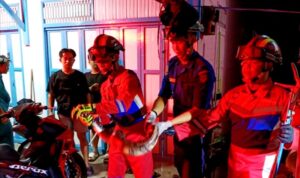 Disdamkarmat Barito Utara Evakuasi Ular Dupung di Samping Toko Kosmetik Linda