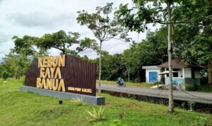 2025, Pemprov Kalsel Upayakan Berikan Pengalaman Terbaik Bagi Pengunjung Wisata Kebun Raya Banua