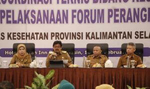 Dinkes Kalsel Gelar Rakor dan Sinkronisasi untuk Transformasi Kesehatan di 2025