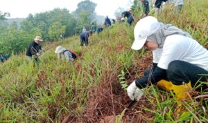 Dishut Kalsel Lakukan Penandatanganan Pakta Integritas dan PK Sekaligus Penanaman Pohon di Gunung Pamaton Tahura Sultan Adam