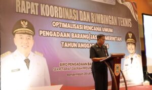 Gubernur Kalsel Tekankan Optimalisasi Perencanaan Pengadaan Barang dan Jasa