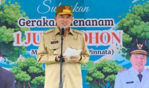 Gubernur Kalsel Turut Menyukseskan Gerakan Penanaman 1 Juta Pohon Matoa se-Indonesia
