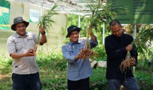 Pemprov Kalsel Dukung Langkah Inovatif Untuk Sektor Pertanian