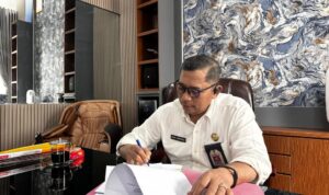 Pemprov Kalsel Upayakan Rehabilitasi Mangrove di Kabupaten Tanah Laut dan Tanah Bumbu