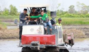 Bupati Batola Gagas Tanggul Irigasi untuk Dukung Tiga Kali Panen