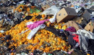 DPRD Kalsel Dorong Pengurangan Food Loss dan Food Waste Melalui Raperda Penyelenggaraan Pangan