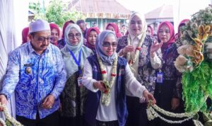 Ketua TP Posyandu Hj. Fathul Jannah Muhidin Sosialisasikan Program 6 SPM di Posyandu Jati 2 Kabupaten Banjar