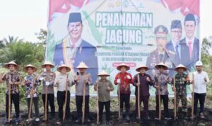 Legislator Dukung Percepatan Program Swasembada Jagung di Kapuas