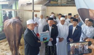 Muhidin Serahkan Sapi Presiden di Masjid Raya Sabilal Muhtadin