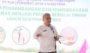 Pemprov Kalsel Dorong UMKM Kreatif, Pengembangan Daun Nanas Jadi Produk Bernilai Tinggi