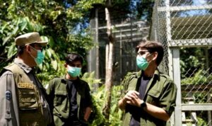 Pj Bupati Kunjungi Yayasan Kalaweit Indonesia, Tegaskan Dukungan untuk Konservasi Alam Kalimantan