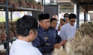 TPID Batola Studi Banding Penanaman Bawang Merah ke Bali