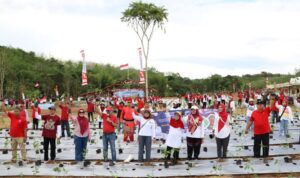 Dinas Pertanian Tanam 50 Ribu Bibit Cabai di Bukit Merangkul untuk Semarak HUT Kalsel ke-75 dan RI ke-80
