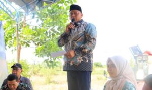 Bupati Batola Apresiasi Keberhasilan Panen Padi
